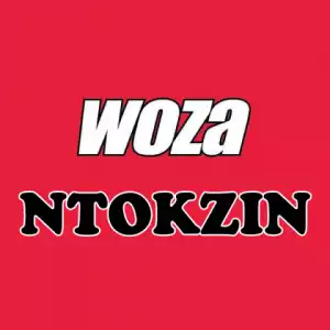 Ntokzin - Woza